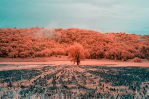 Downtown Osakis, MN, MN