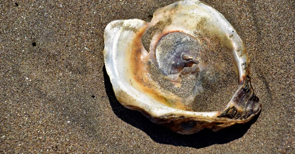 Downtown Ostrander, OH, OH