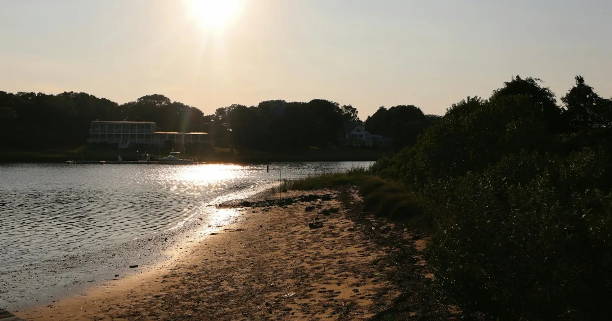 Downtown Oyster Bay Cove, NY, NY