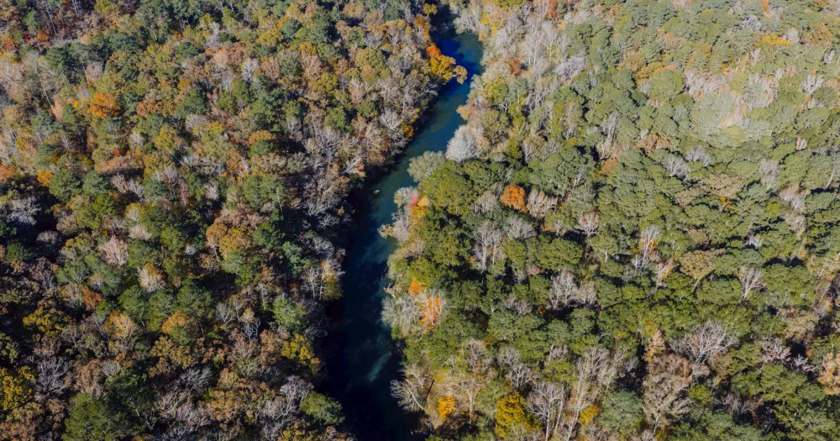 Downtown Ozark, AL, AL