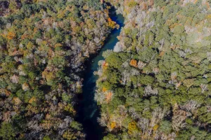 Downtown Ozark, AL, AL