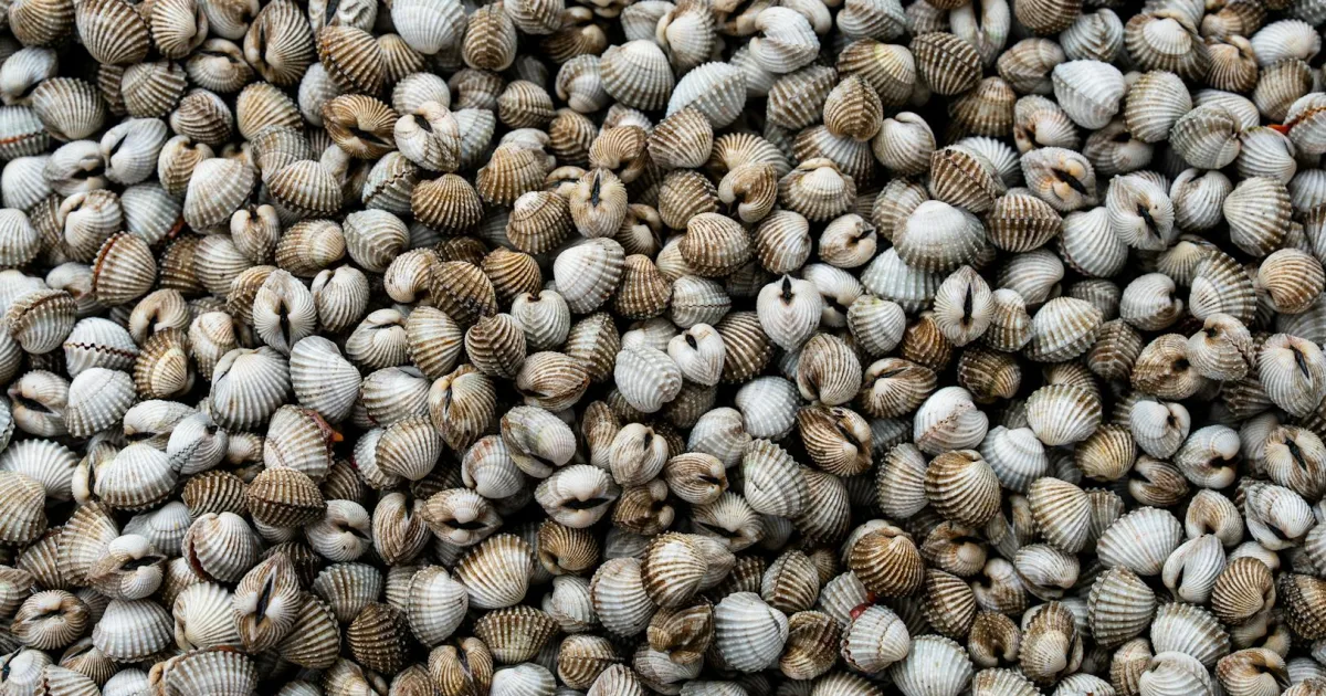 Downtown Pacific, MO, MO