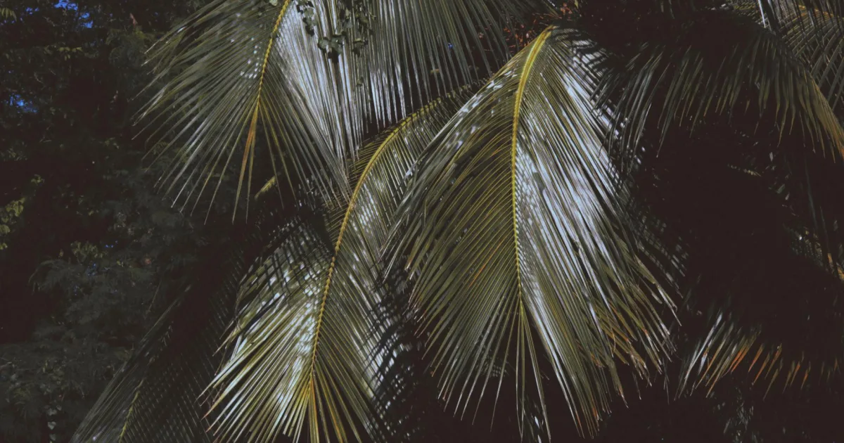 Downtown Palmer, PA, PA