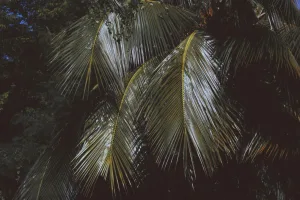 Downtown Palmer, PA, PA