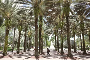 Downtown Palmona Park, FL, FL