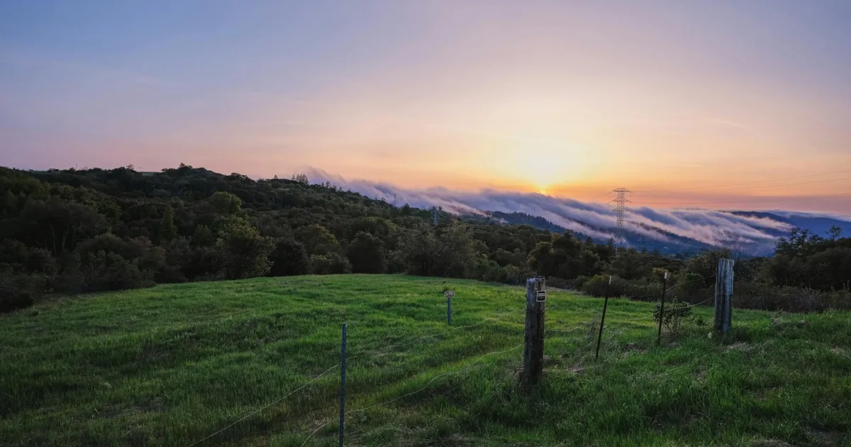 Downtown Palo Alto, PA, PA
