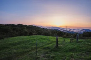 Downtown Palo Alto, PA, PA