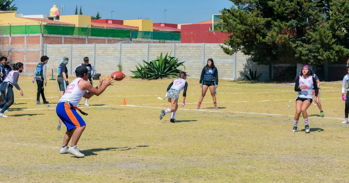 Downtown Paonia, CO, CO