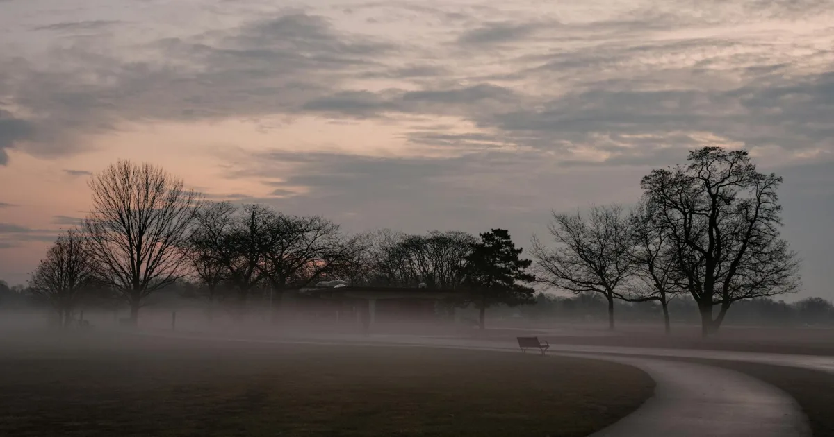 Downtown Park Ridge, IL, IL