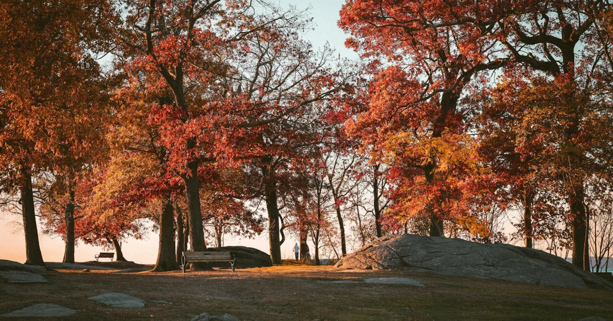 Downtown Park Ridge, NJ, NJ