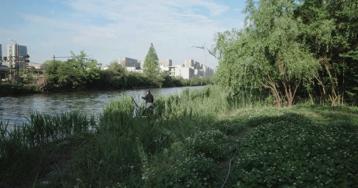 Downtown Park River, ND, ND