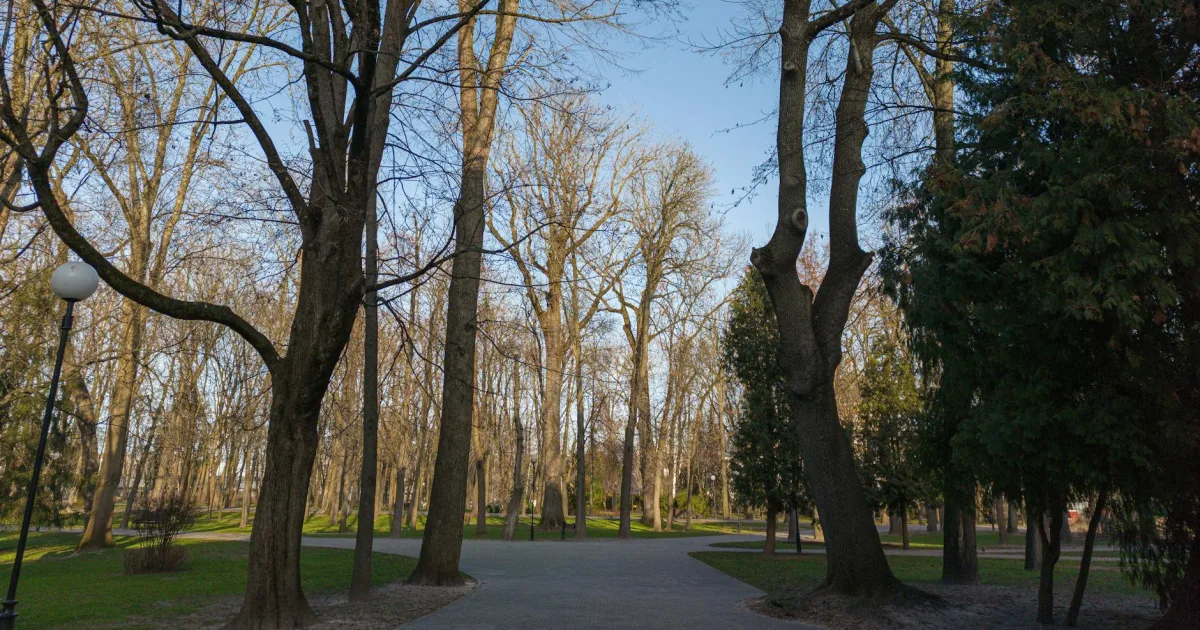 Downtown Park View, IA, IA