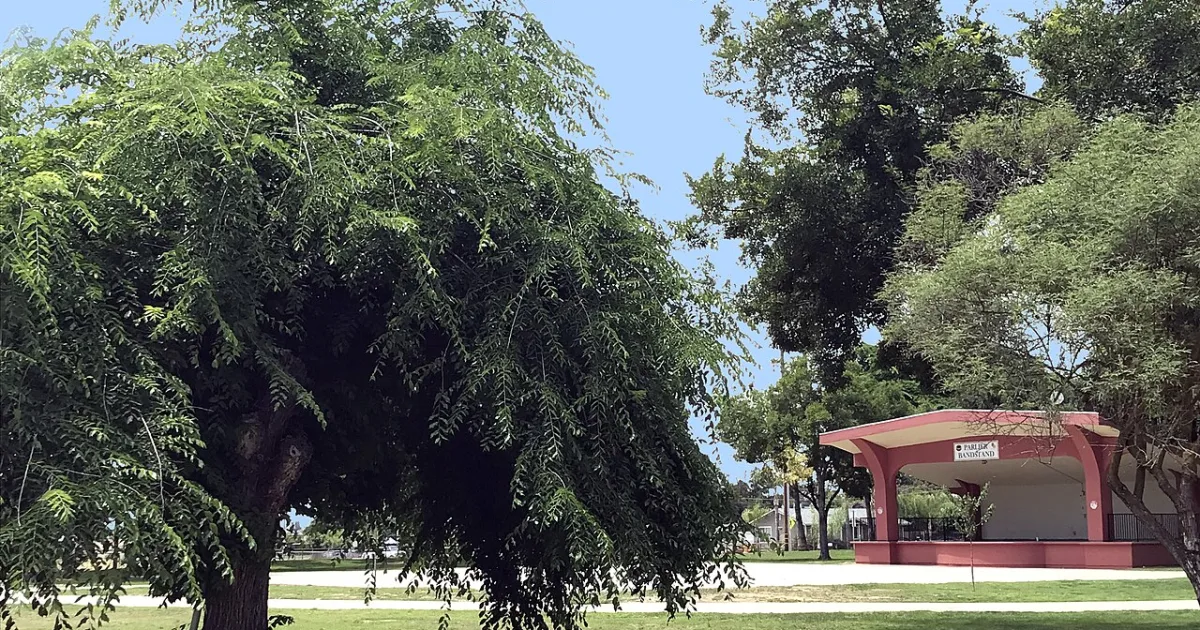 city in Fresno County, California, United States