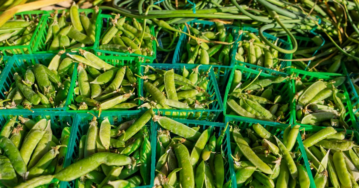 Downtown Pea Ridge, AR, AR