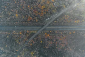 Downtown Pemberton Heights, NJ, NJ