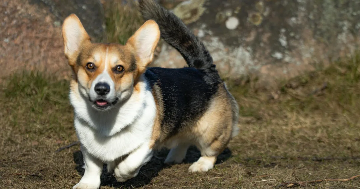 Downtown Pembroke, KY, KY