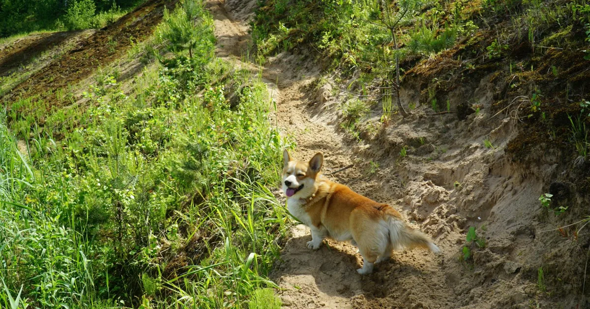 Downtown Pembroke, ME, ME