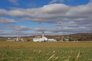 Pennsylvania, AL