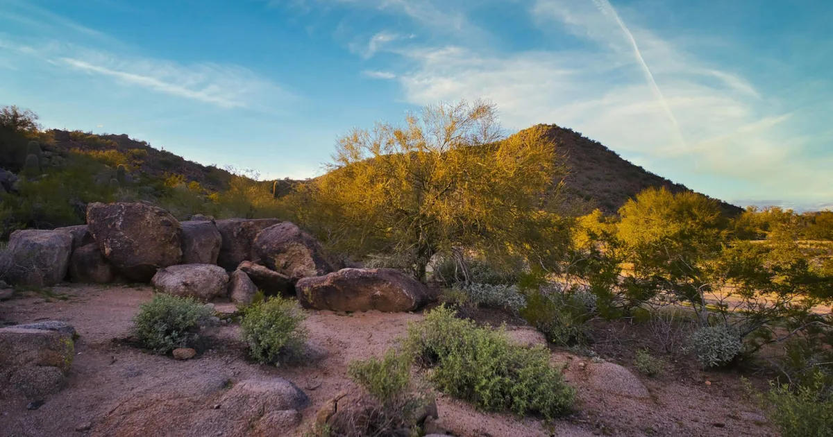 Downtown Phoenix, AZ, AZ
