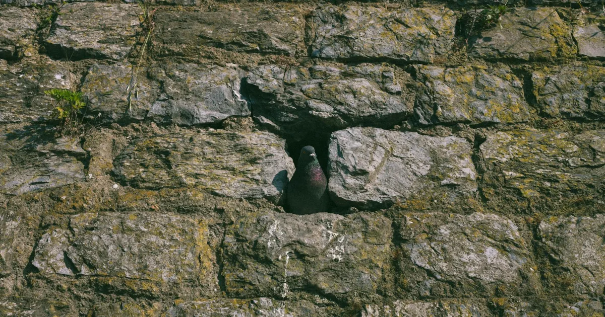 Downtown Pigeon Cove, MA, MA