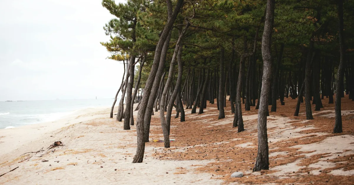 Downtown Pine Beach, NJ, NJ