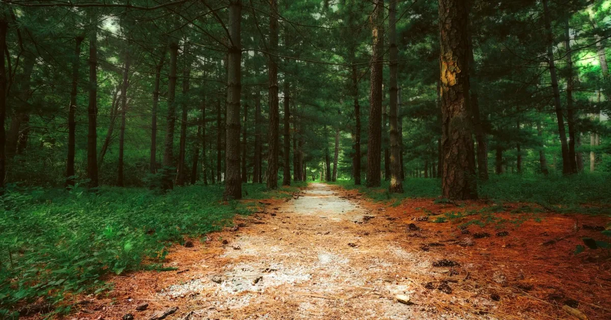 Downtown Pine Hill, NJ, NJ