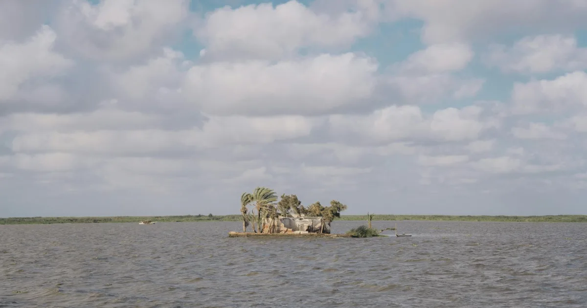 Downtown Pine Island, TX, TX