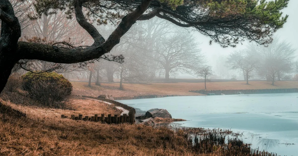 Downtown Pine Lake Park, NJ, NJ