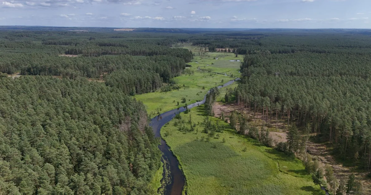 Downtown Pine River, MI, MI