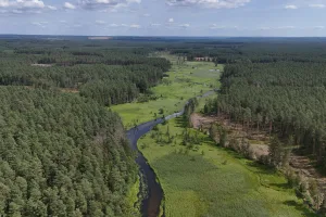 Downtown Pine River, MI, MI