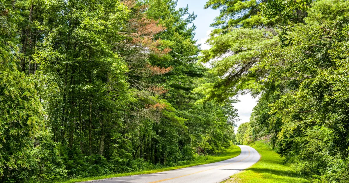 Downtown Pinetops, NC, NC