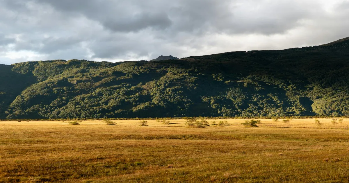 Downtown Plains, MT, MT