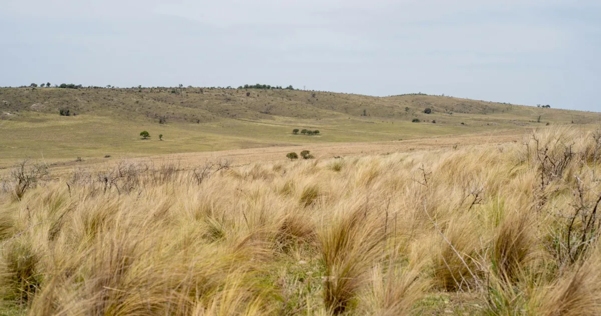 Downtown Plains, PA, PA