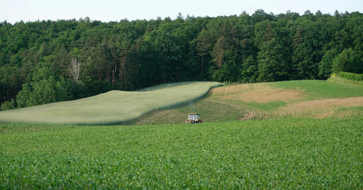 Downtown Plaistow, NH, NH