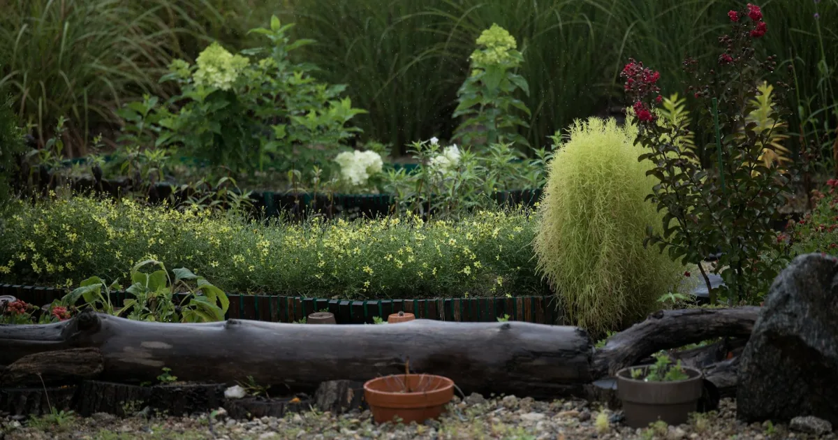 Downtown Pleasant Garden, NC, NC