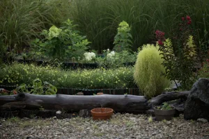 Downtown Pleasant Garden, NC, NC