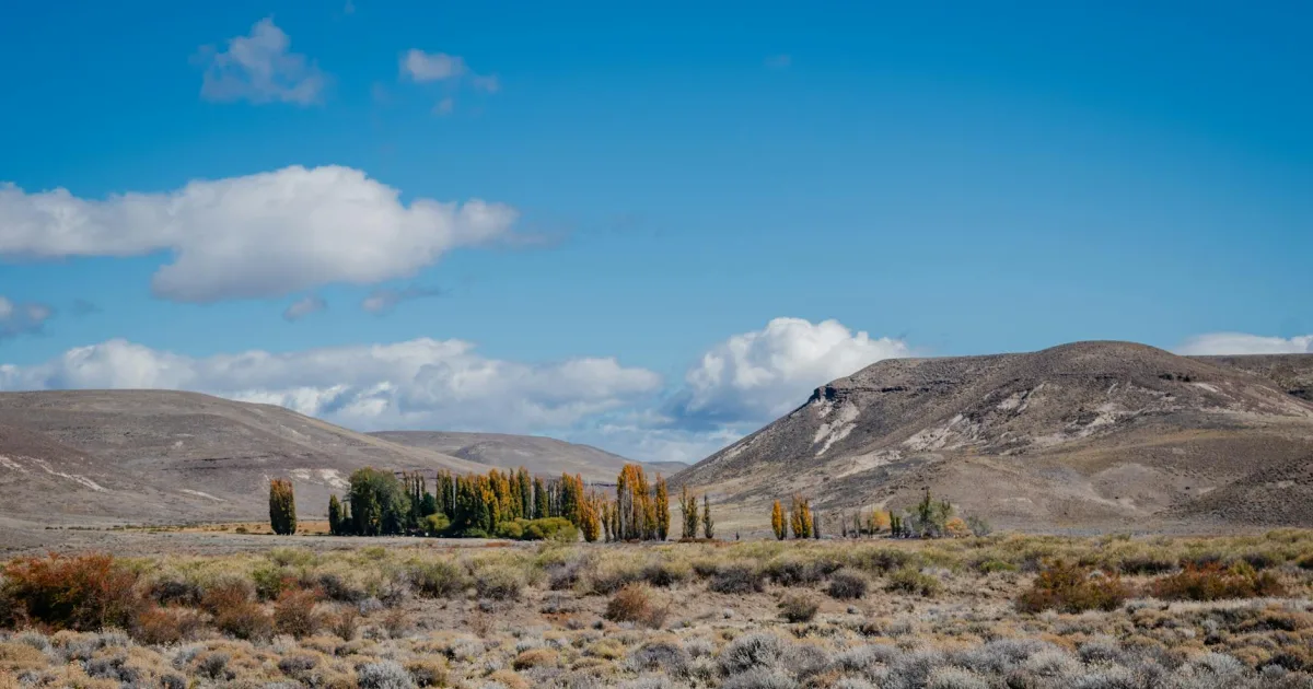 Downtown Pleasant Grove, AL, AL