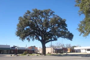city in Atascosa County, Texas, United States