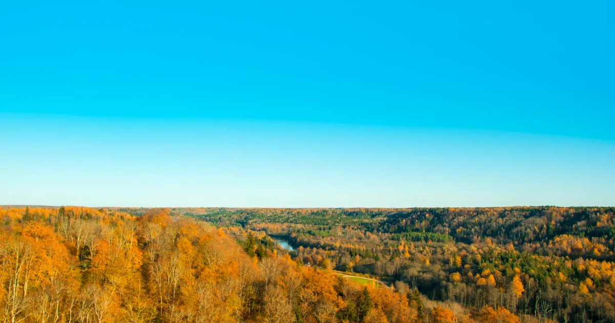 Downtown Pleasure Ridge Park, KY, KY