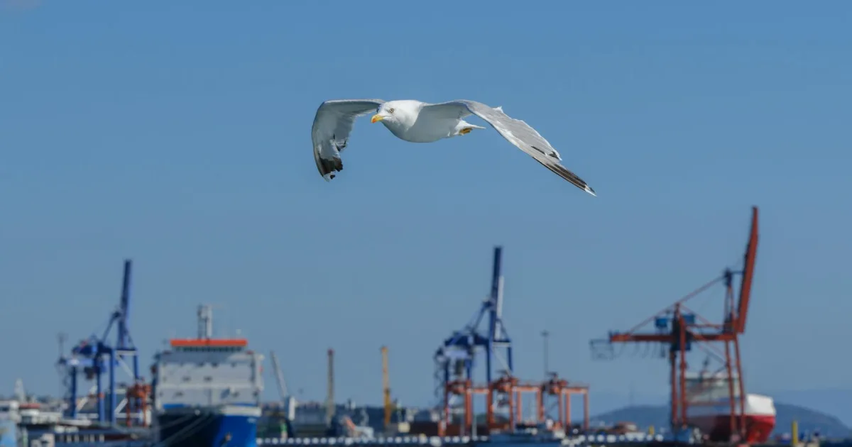 Downtown Port Wing, WI, WI