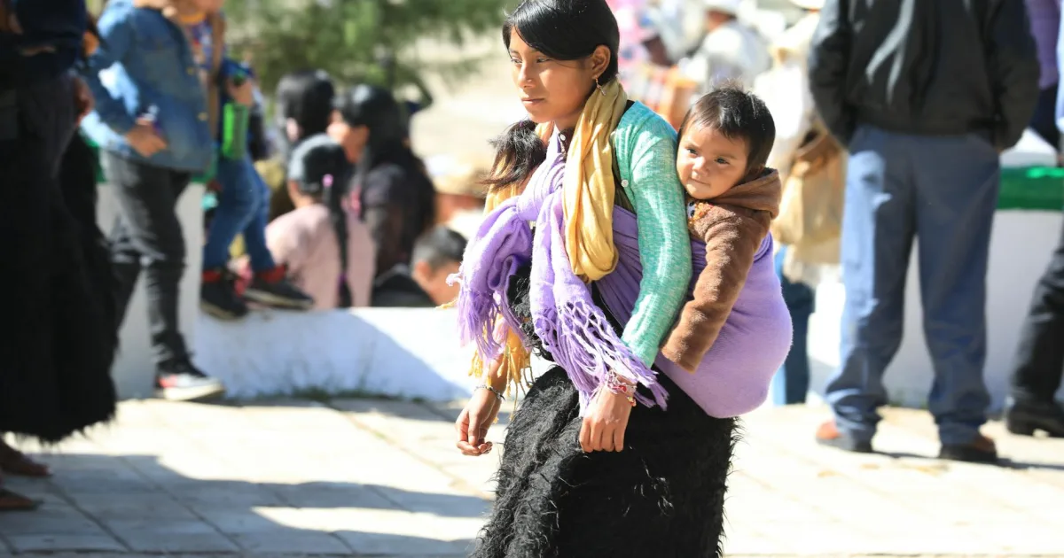 Downtown Portage, OH, OH