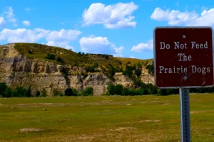 Downtown Prairie City, IA, IA