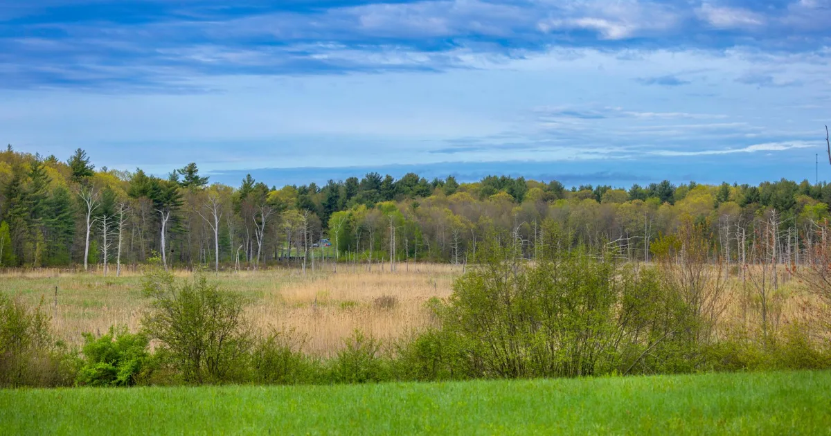 Downtown Princeton Meadows, NJ, NJ