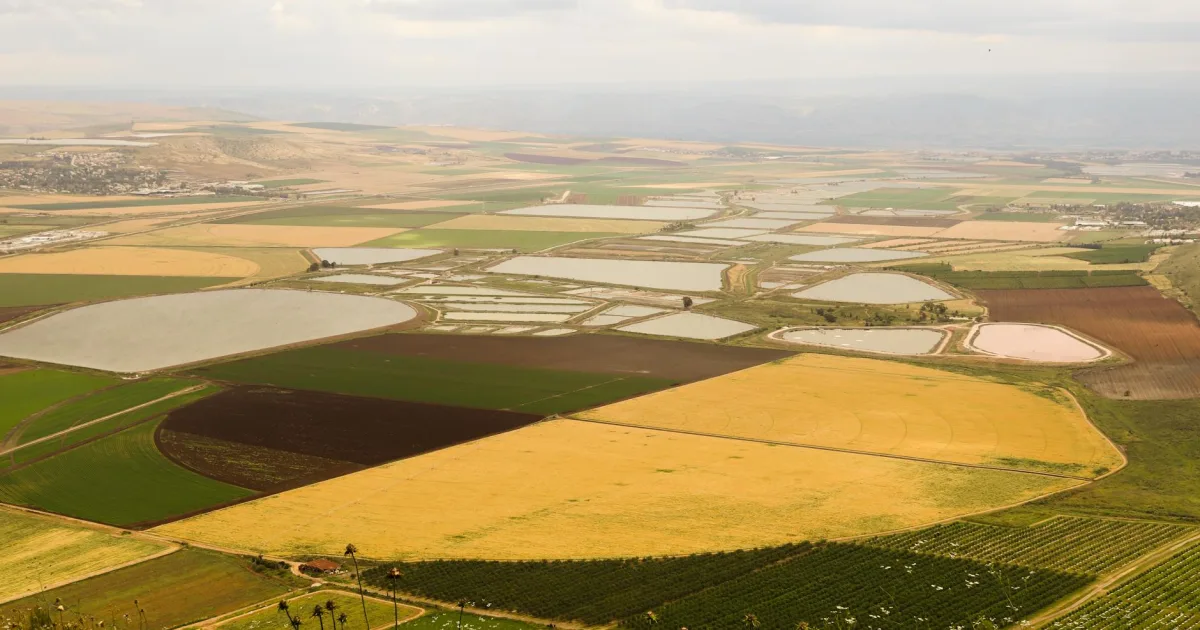 Downtown Promised Land, AR, AR