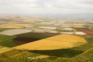 Downtown Promised Land, AR, AR