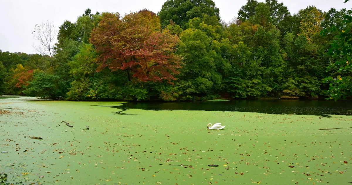 Downtown Prospect Park, NJ, NJ