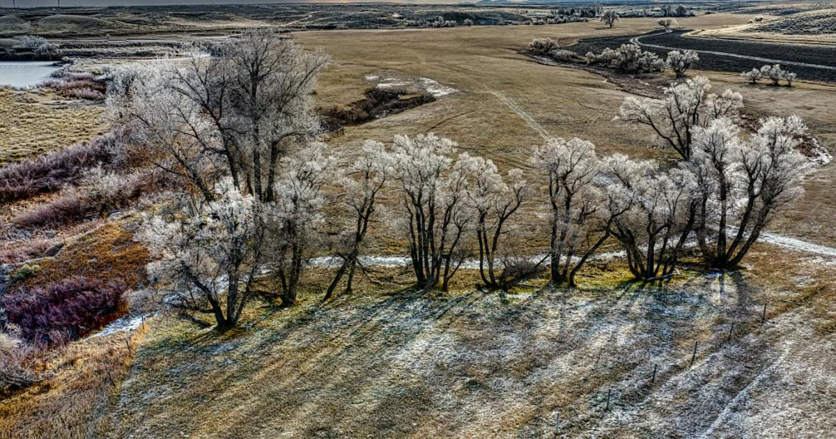 Downtown Rafter J Ranch, WY, WY