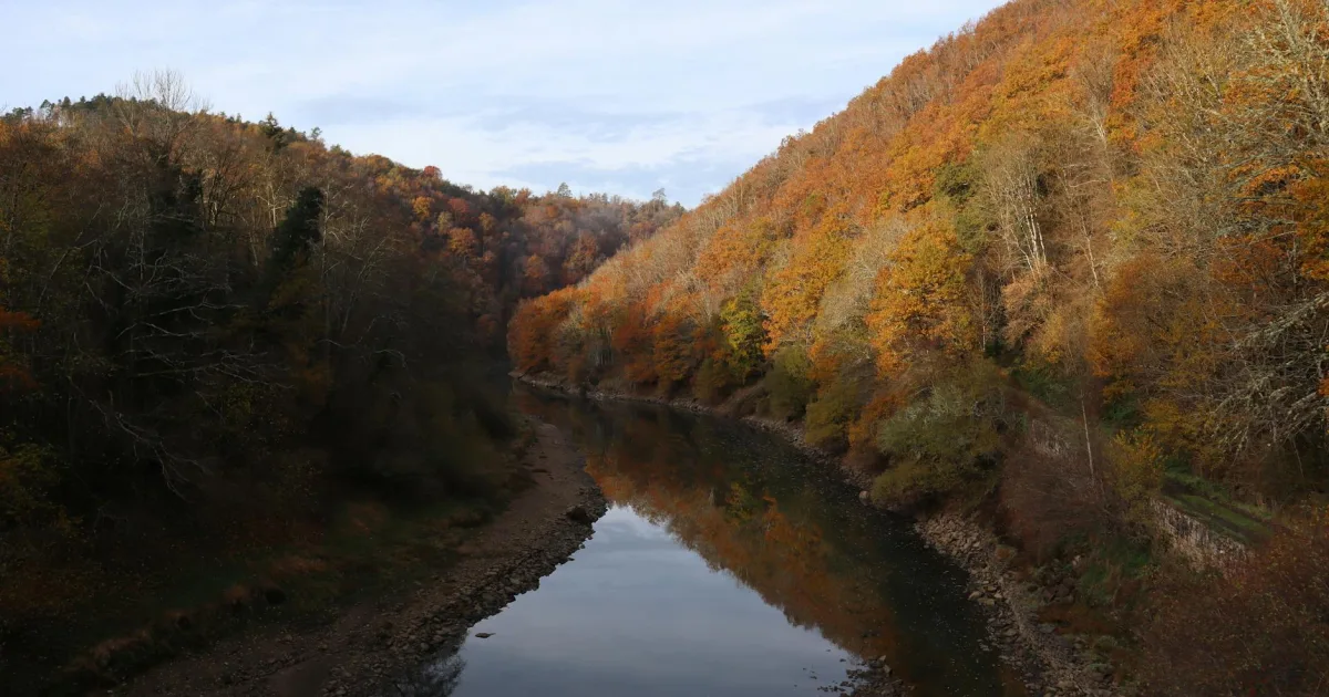 Downtown Rainelle, WV, WV