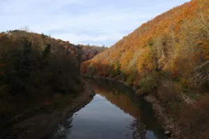 Downtown Rainelle, WV, WV