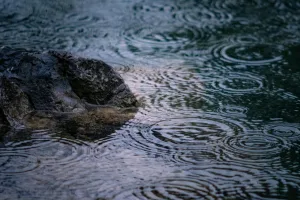 Downtown Rainrock, OR, OR